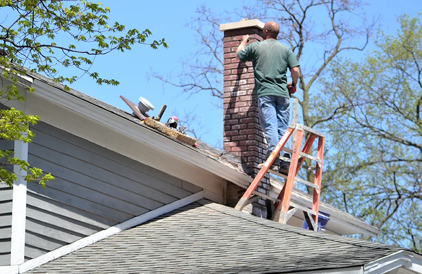 Chimney & Fireplace Inspections Services in Lake Forest, IL